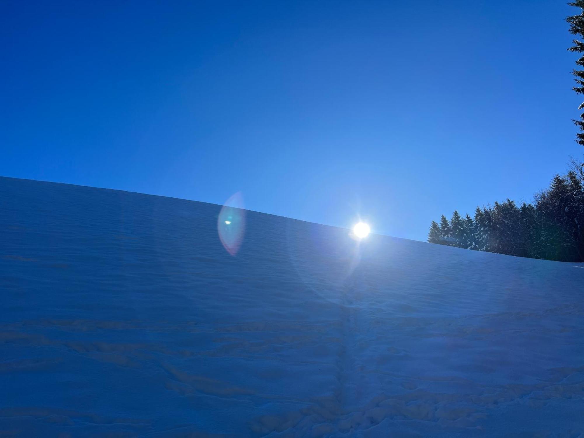 Ferienwohnungen Unterfeld Alpbach Buitenkant foto