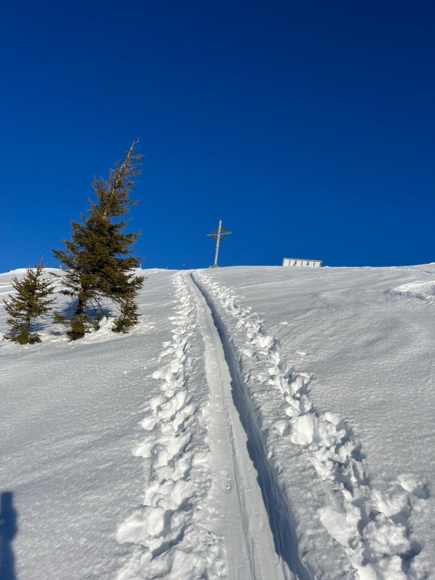 Ferienwohnungen Unterfeld Alpbach Buitenkant foto
