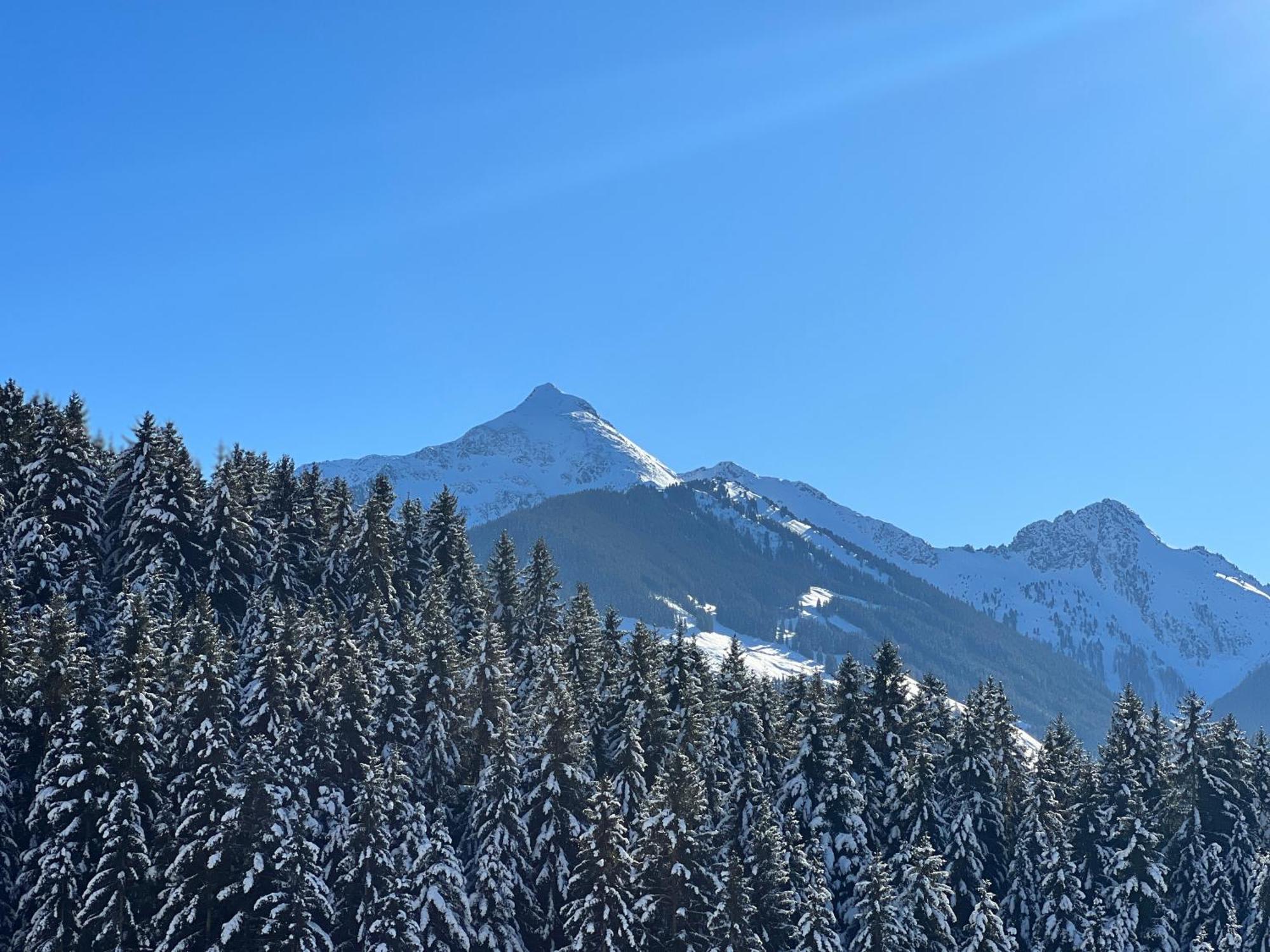 Ferienwohnungen Unterfeld Alpbach Buitenkant foto