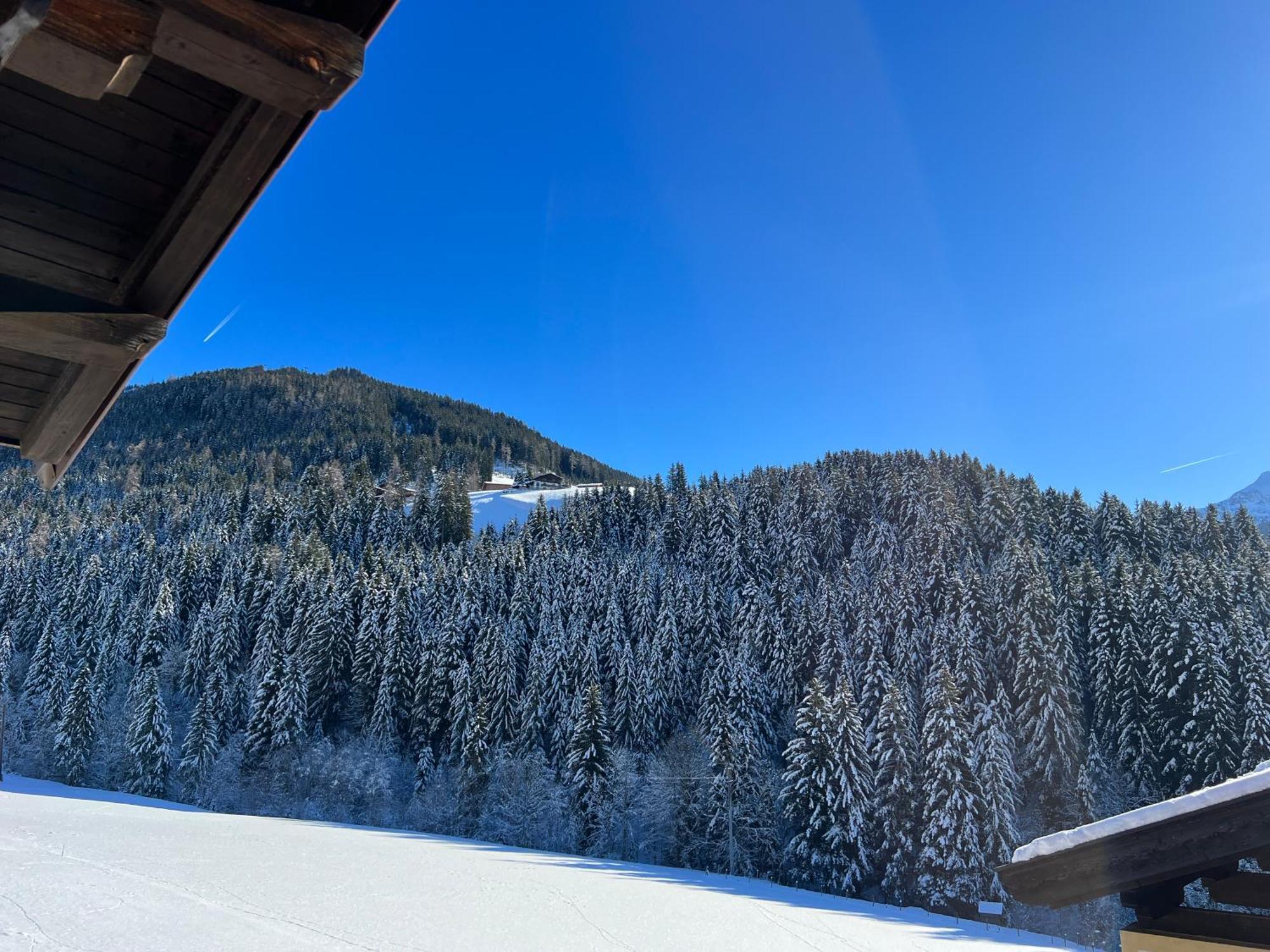 Ferienwohnungen Unterfeld Alpbach Buitenkant foto