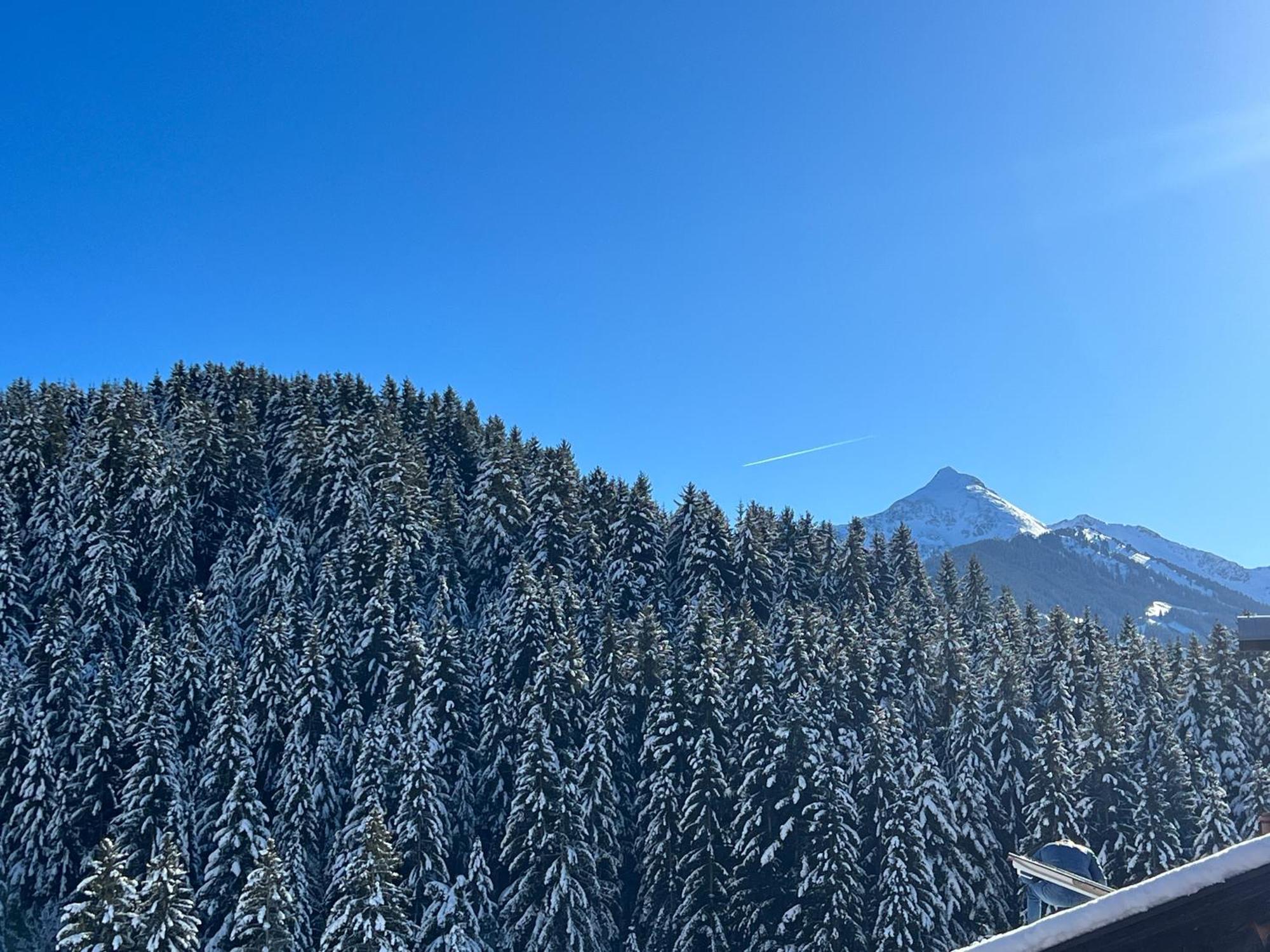 Ferienwohnungen Unterfeld Alpbach Buitenkant foto