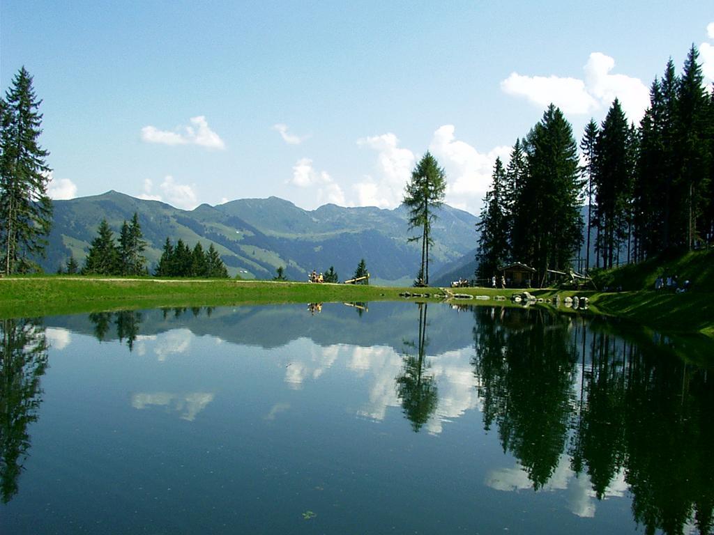 Ferienwohnungen Unterfeld Alpbach Buitenkant foto
