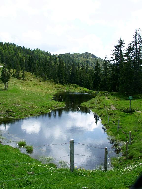 Ferienwohnungen Unterfeld Alpbach Buitenkant foto